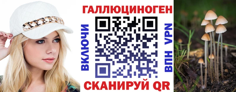 Псилоцибиновые грибы мухоморы  где купить наркоту  гидра рабочий сайт  Махачкала 