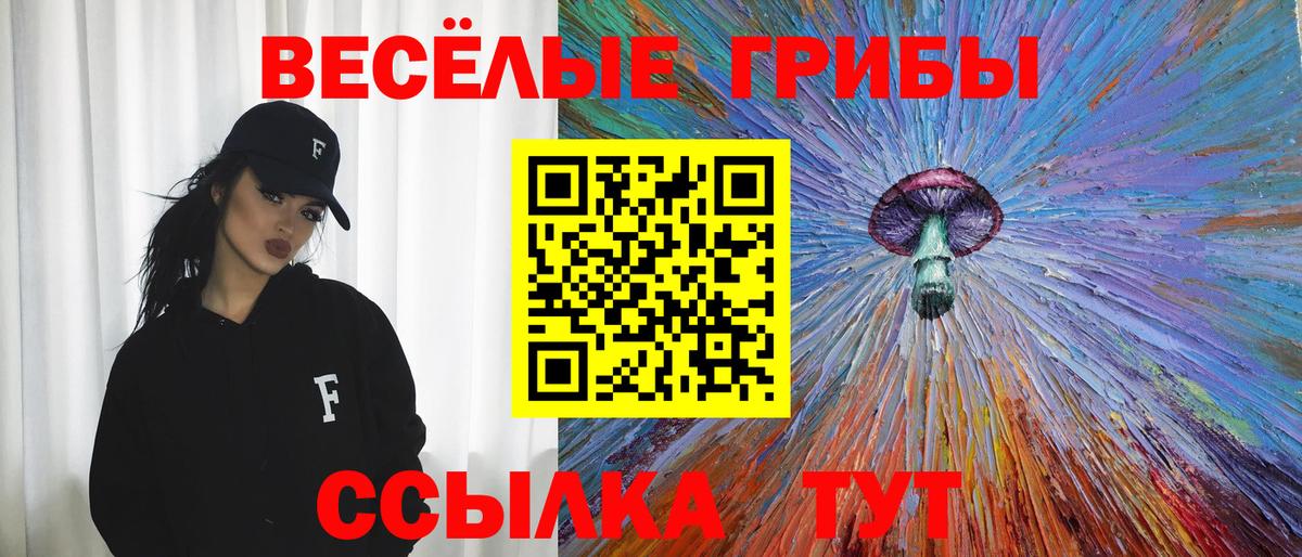 Галлюциногенные грибы Cubensis  Вход с VPN  Россия 