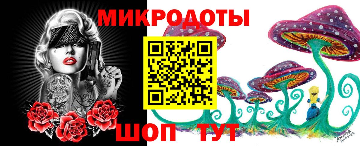 Галлюциногенные грибы Psilocybe Россия